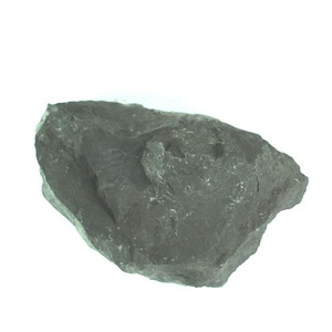 兵庫県産化石採集委託成果品（１９９０年度