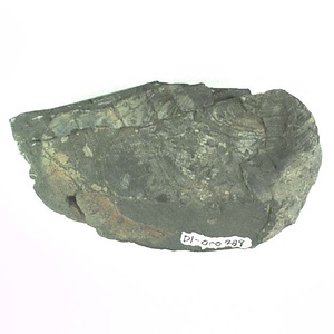 兵庫県産化石採集委託成果品（１９９０年度