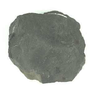 兵庫県産化石採集委託成果品（１９９０年度