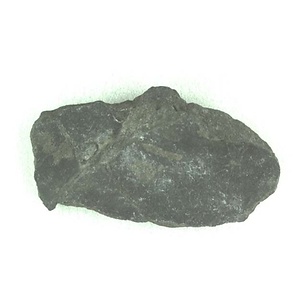 兵庫県産化石採集委託成果品（１９９０年度