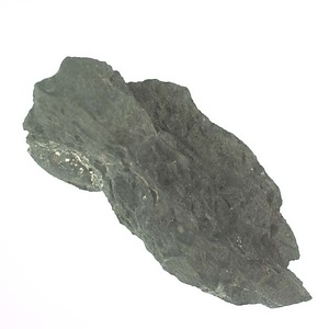 兵庫県産化石採集委託成果品（１９９０年度