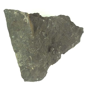 兵庫県産化石採集委託成果品（１９９０年度