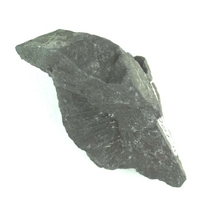 兵庫県産化石採集委託成果品（１９９０年度