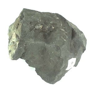 兵庫県産化石採集委託成果品（１９９０年度