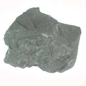 兵庫県産化石採集委託成果品（１９９０年度