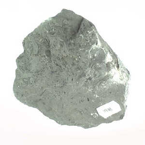 兵庫県産化石採集委託成果品（１９９０年度