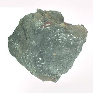 Monotis (Entomonotis) ochotica pachypleura-type