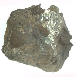 Monotis (Entomonotis) ochotica pachypleura-type