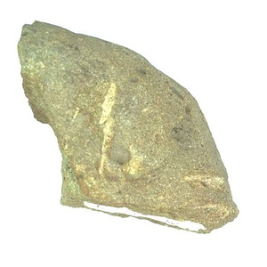 日本産中生代軟体動物化石