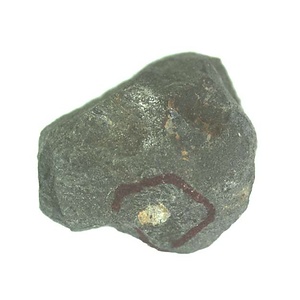 日本産中生代軟体動物化石