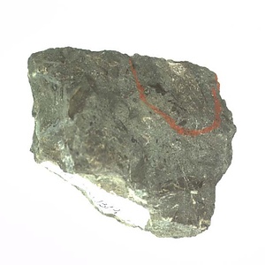 日本産中生代軟体動物化石