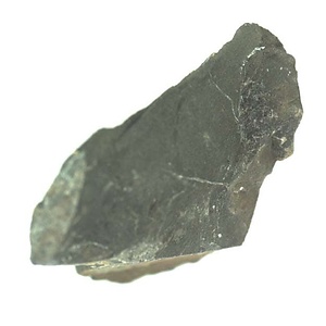 日本産中生代軟体動物化石