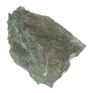 日本産中生代軟体動物化石