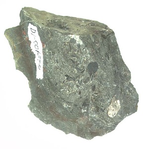 日本産中生代軟体動物化石