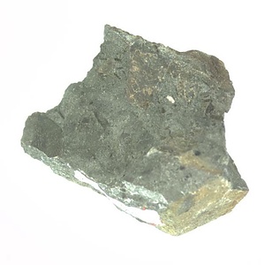 日本産中生代軟体動物化石