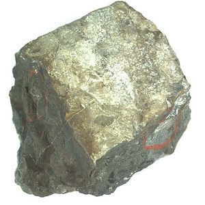 日本産中生代軟体動物化石