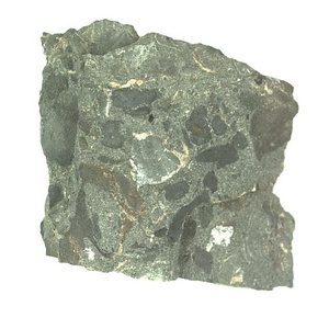 日本産中生代軟体動物化石