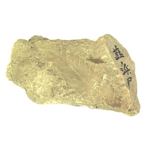 日本産中生代軟体動物化石