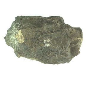 １９８９年度地質・古生物調査委託成果品