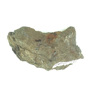 １９８９年度地質・古生物調査委託成果品