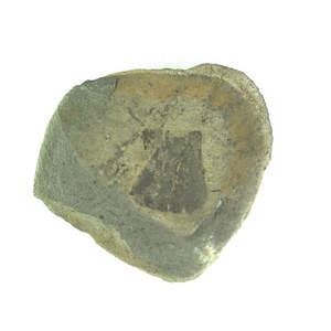 １９８９年度地質・古生物調査委託成果品