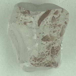 針葉樹類の葉