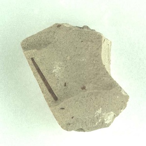 針葉樹類の葉