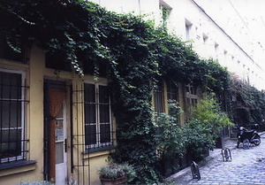 ニューヨーク・コミュニティガーデン視察一式