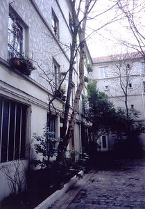 ニューヨーク・コミュニティガーデン視察一式