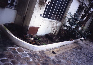 ニューヨーク・コミュニティガーデン視察一式