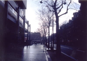 ニューヨーク・コミュニティガーデン視察一式