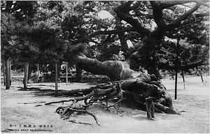 六甲山を中心とした兵庫県内の古い絵葉書等