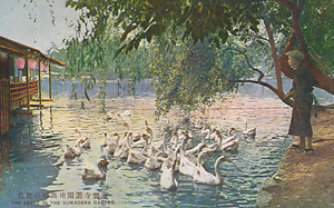 六甲山を中心とした兵庫県内の古い絵葉書等