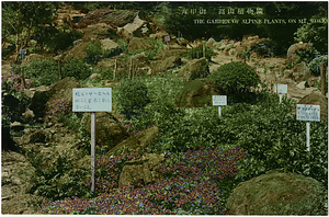 六甲山を中心とした兵庫県内の古い絵葉書等