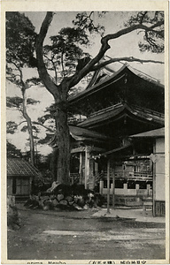 六甲山を中心とした兵庫県内の古い絵葉書等