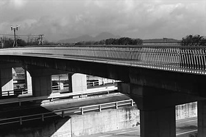 1980年代のフラワータウン写真データＣＤディスク