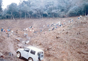 金山公園整備事業大山小学校