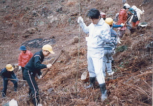 金山公園整備事業大山小学校