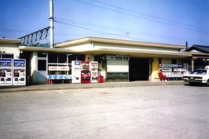 柏原古写真