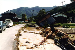 柏原古写真