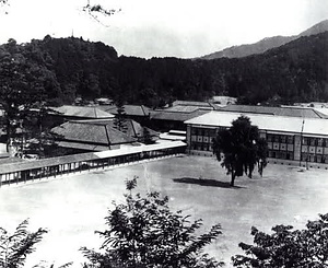 柏原古写真