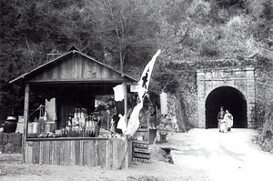 柏原古写真