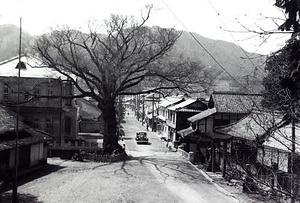 柏原古写真