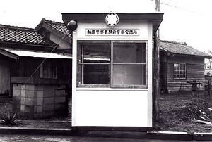 柏原古写真