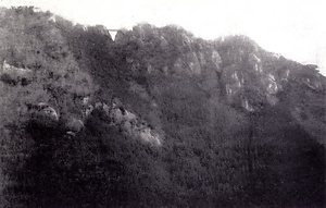柏原古写真