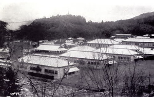 柏原古写真