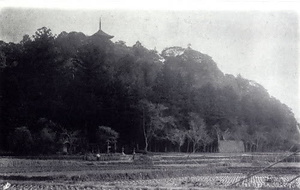 柏原古写真