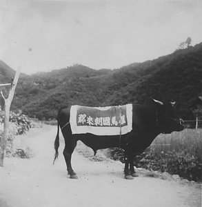 佐用町古写真