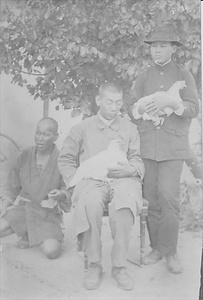 三田市下相野（平野集落）古写真