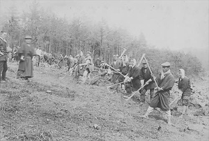 三田市下相野（平野集落）古写真